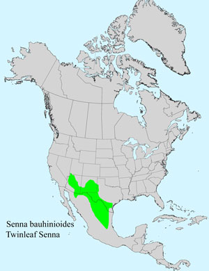 North America species range map for Twinleaf Senna, Senna bauhininoides